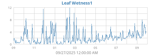yearwetleaf